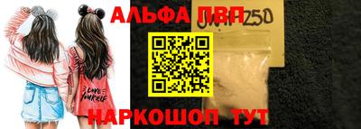 молекула духа Кингисепп