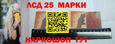 молекула духа Кингисепп