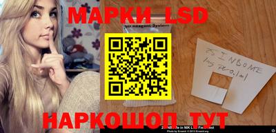 шишки Кимры
