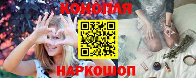 шишки Кимры