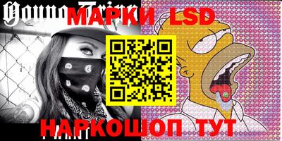 шишки Кимры
