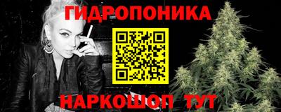 молекула духа Кингисепп
