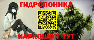 молекула духа Кингисепп