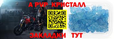 шишки Кимры